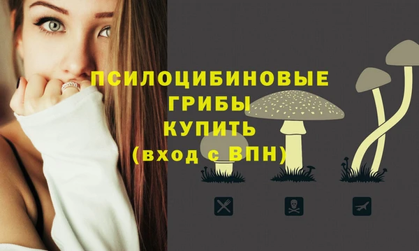 МДПВ Верея
