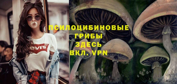 кокс Бородино