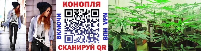 omg зеркало  Воскресенск  Бошки Шишки Bruce Banner 